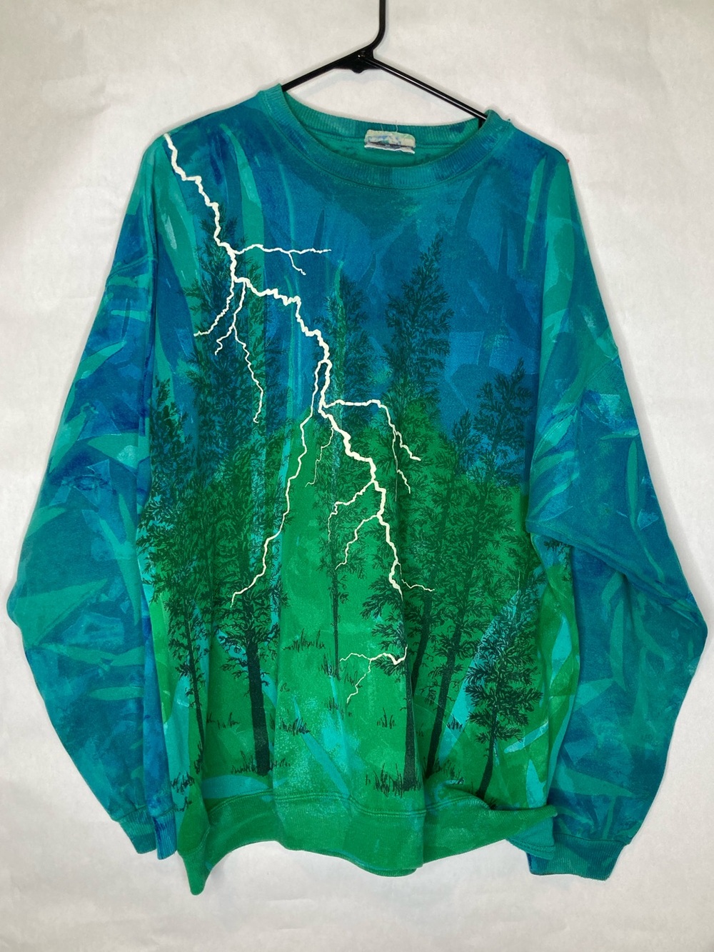 Vintage Hanes Local Color Art Clothes Lightning Forest Sweatshirt XL Mary Dee